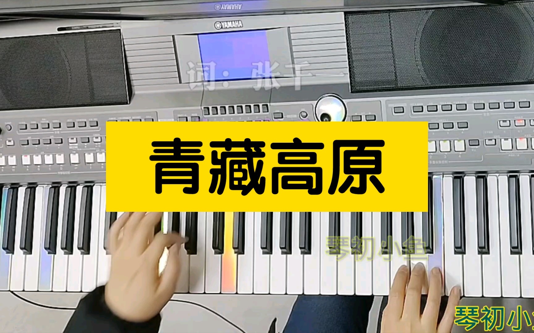 电子琴演奏《青藏高原》