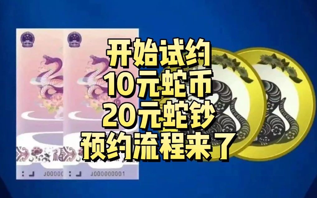 开始试约!10元蛇币、20元蛇钞,预约流程和入口先备好哔哩哔哩bilibili