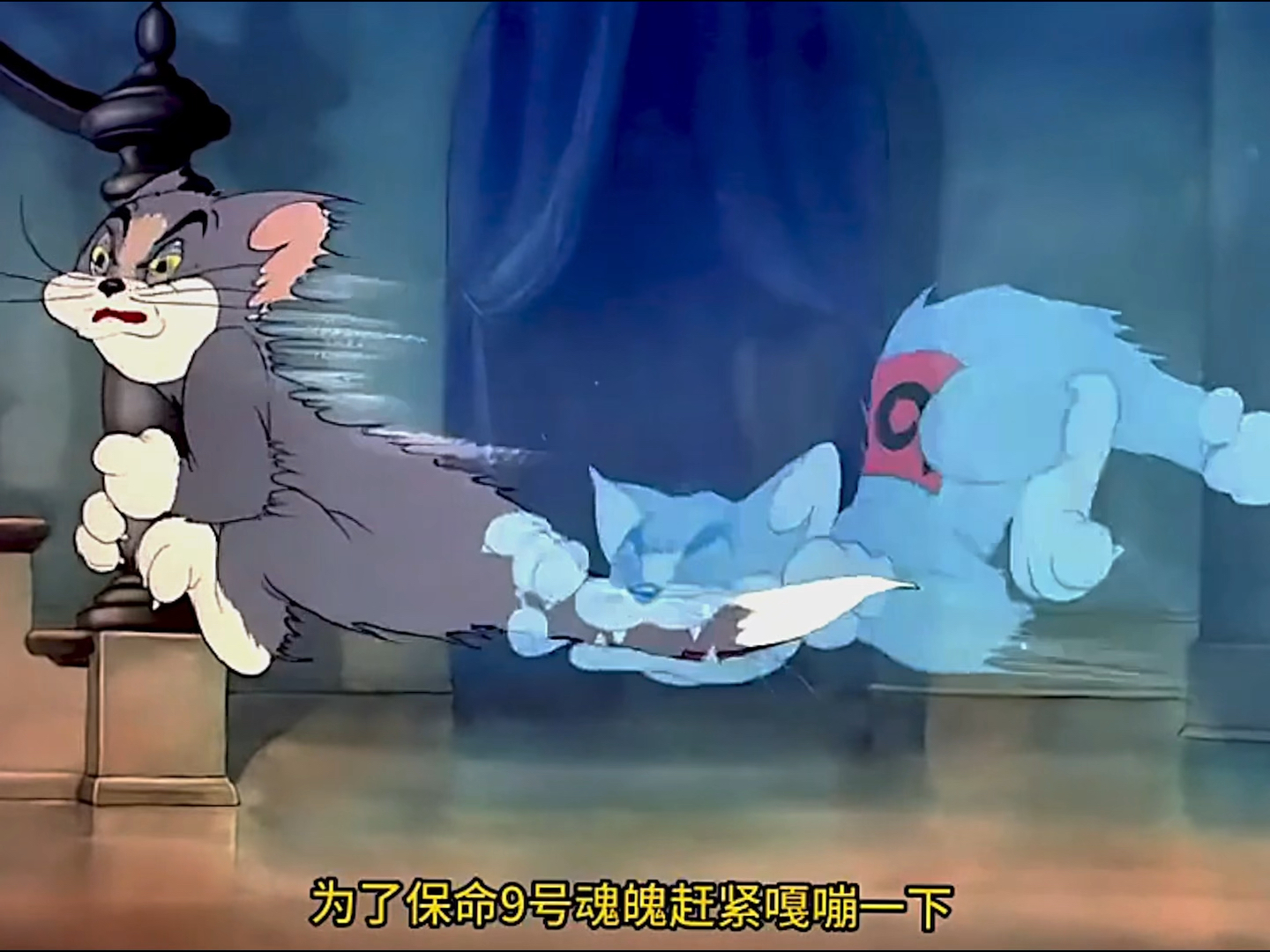 猫和老鼠