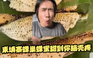 Descargar video: 柬埔寨蜂巢蜂蜜甜到脑壳疼！（视频下半段暗藏玄鸡）！