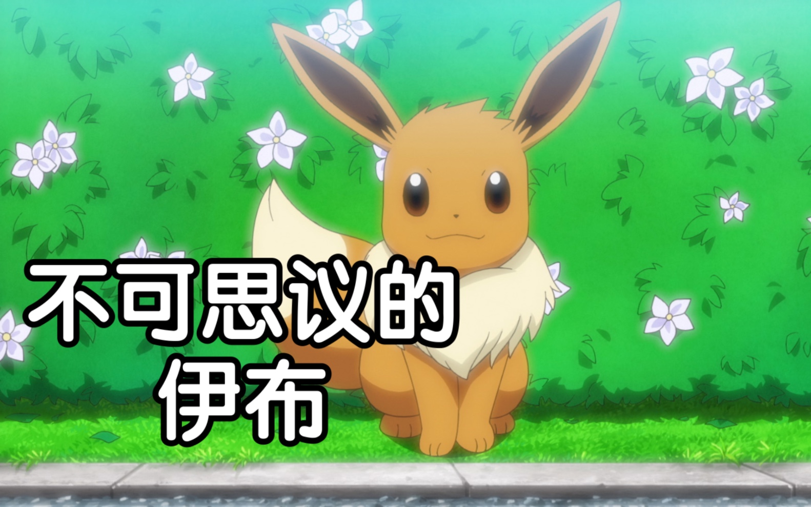 【宝可梦】盘点小春的伊布用过哪些招式