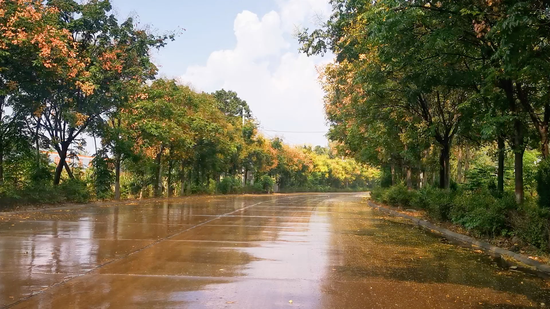 雨后的家乡马路