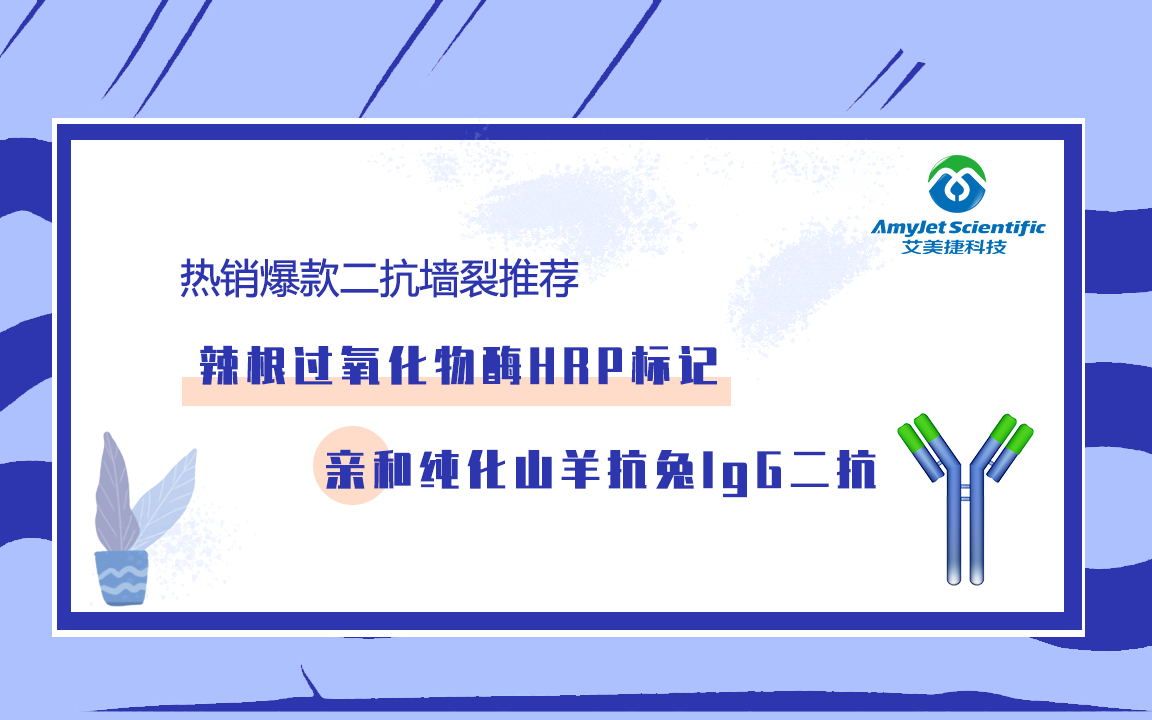 热销爆款二抗墙裂推荐——111035003,山羊抗兔IgG二抗(HRP标记)哔哩哔哩bilibili