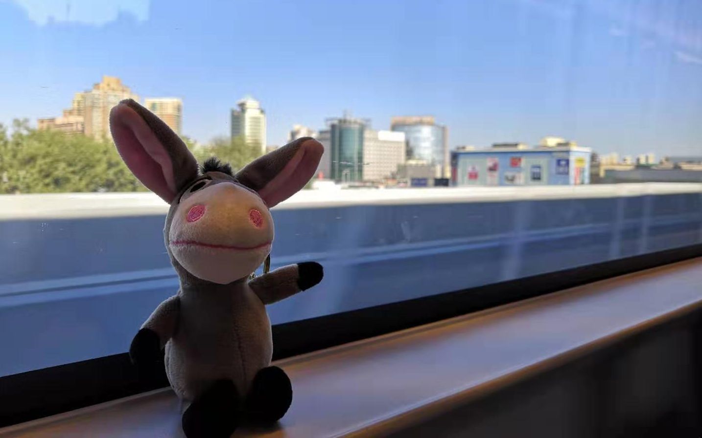 vlog1海河边吹风的小笨驴