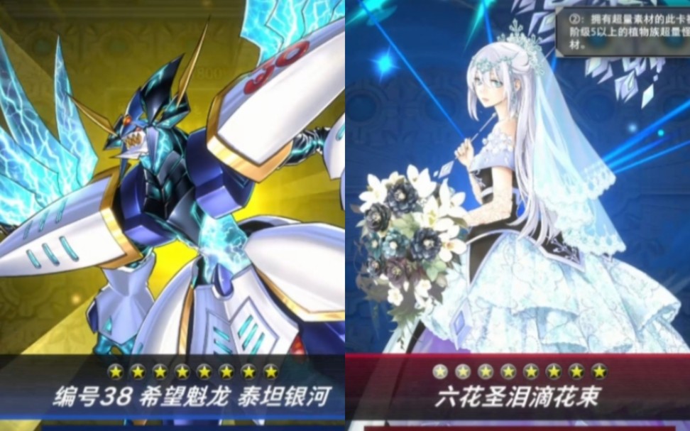 游戏王md 青眼白龙与虫妹六花激战14回合