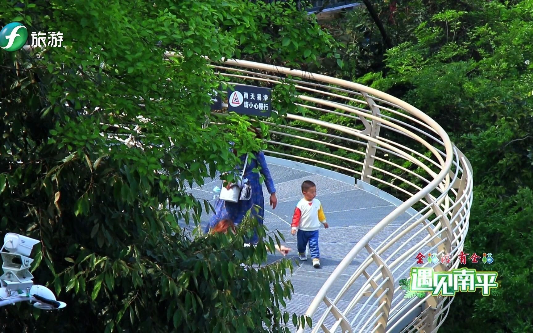 《遇见南平》延平这处草木青葱的九峰山,带你一秒从城市回归山林哔哩哔哩bilibili