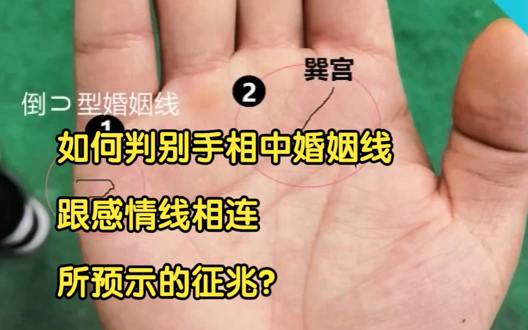 如何判别手相中婚姻线跟感情线相连所预示的征兆?