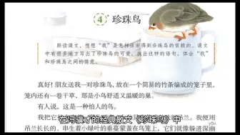 Download Video: 在冯骥才的散文《珍珠鸟》中，打动人心的细节不胜枚举