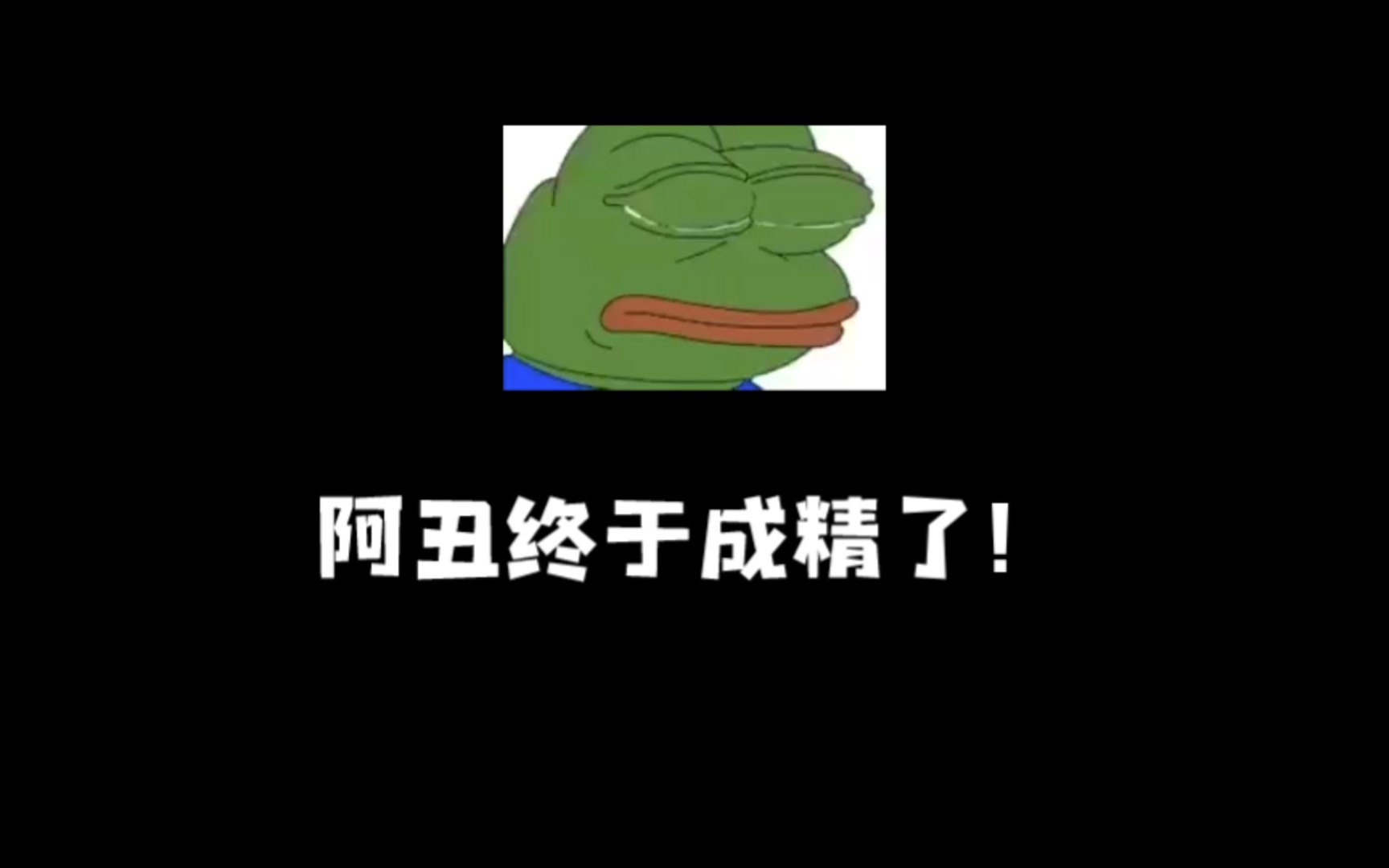 小金鱼的爱情故事哔哩哔哩bilibili