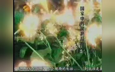 【中国大陆广告】妇科千金片2002年广告哔哩哔哩bilibili