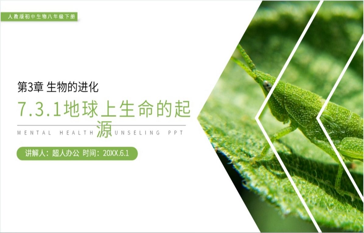 《生物的进化(地球上生命的起源)》ppt课件