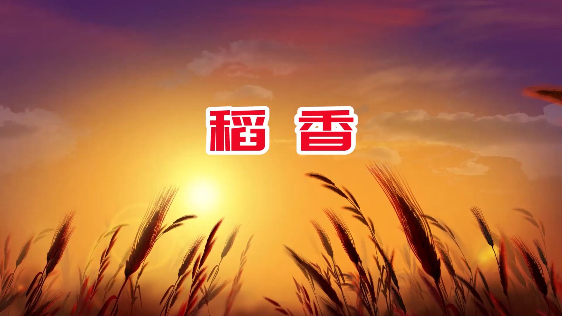稻香 歌词版伴奏版led舞蹈舞台大屏幕背景视频素材