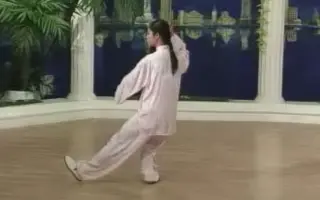 杨式太极拳 哔哩哔哩 Bilibili