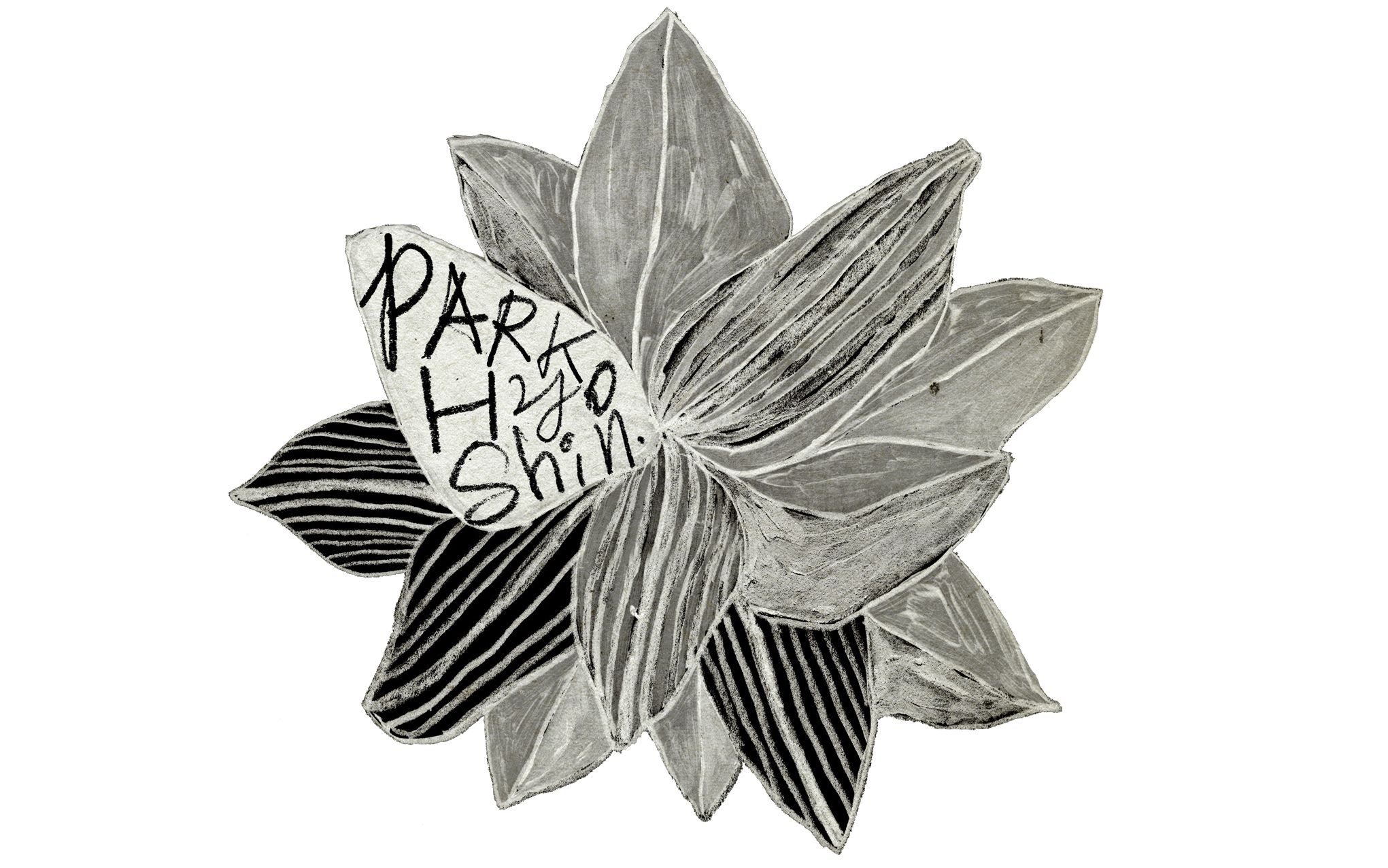 朴孝信lovers演唱会190713野生花中字