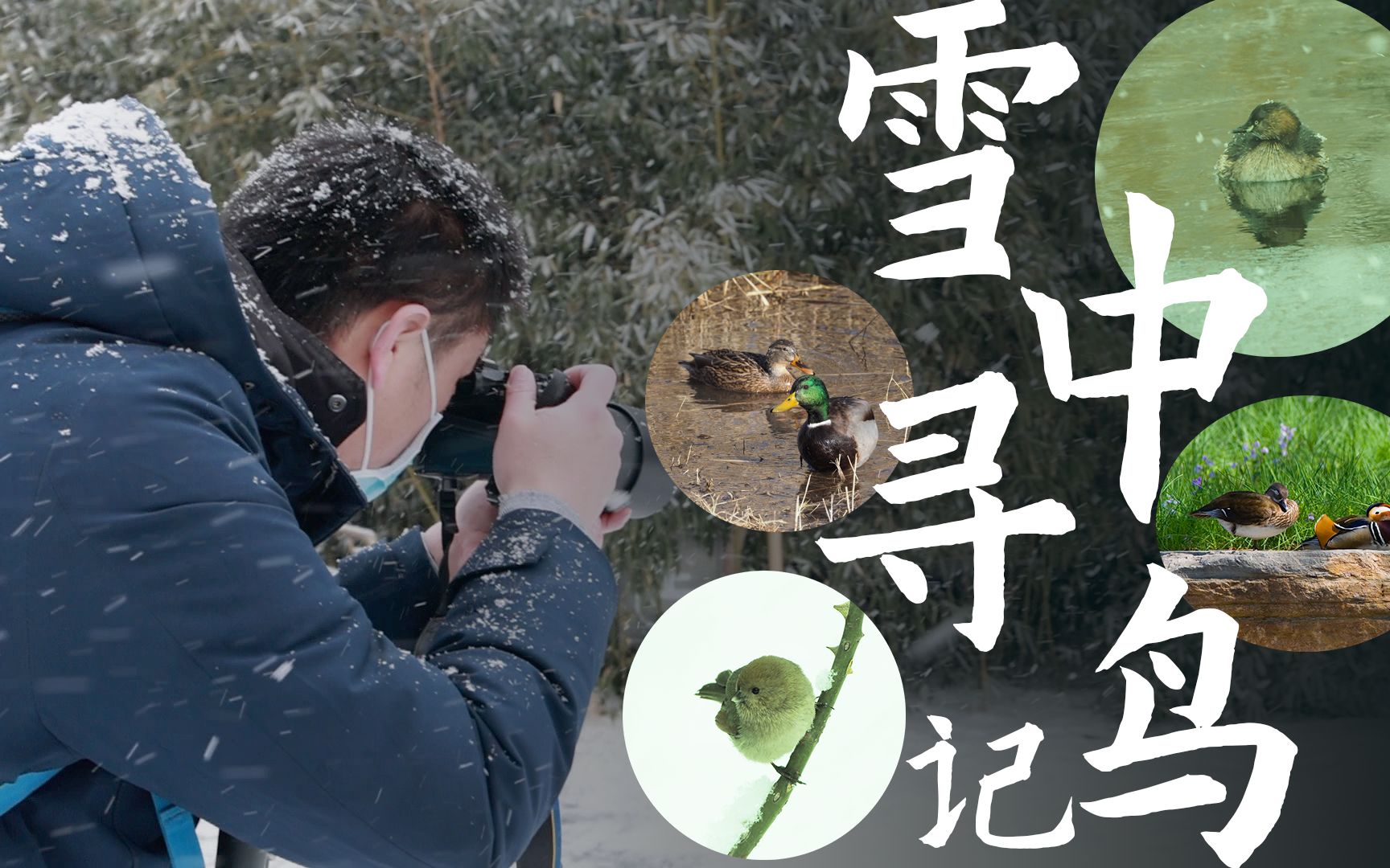 [图]我用一天时间体验了鸟类学博士的日常（上）