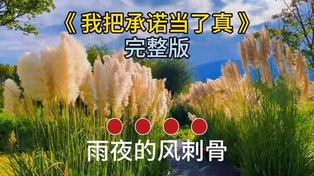 [图]#我把承诺当了真#有些承诺终究只是承诺 #做不到的承诺就不要对我说 #句子很短却句句入心