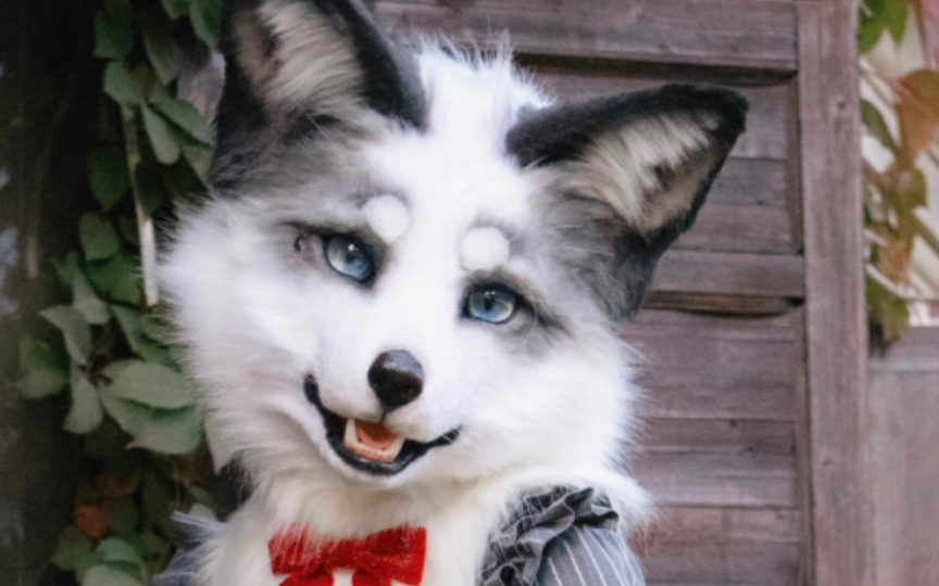 【委托展示】熊猫狐小姐_写实兽装