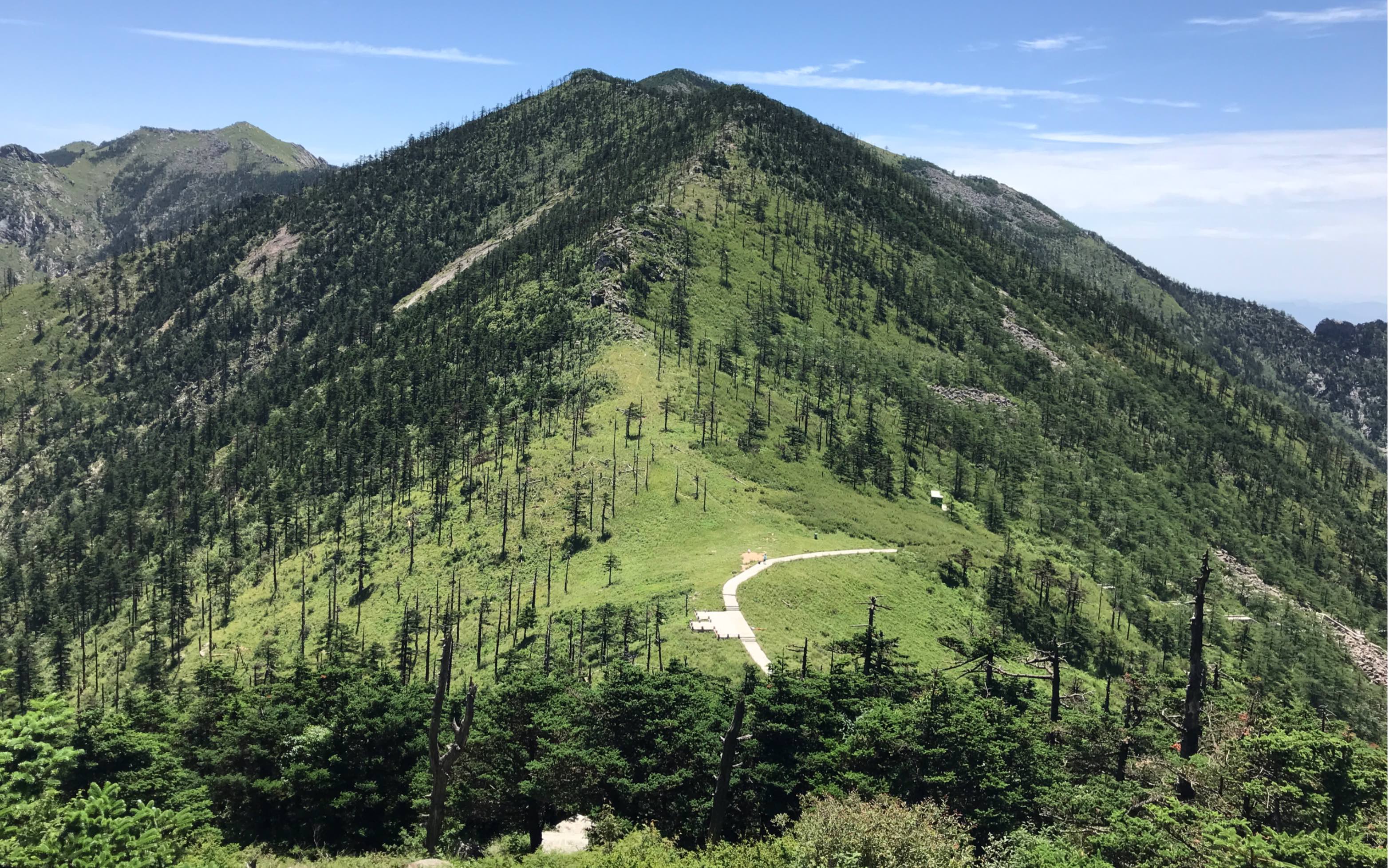 秦嶺朱雀國家森林公園高山草甸冰晶頂萋迷碧草原