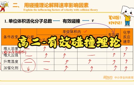 高二秋季有效碰撞理论哔哩哔哩bilibili