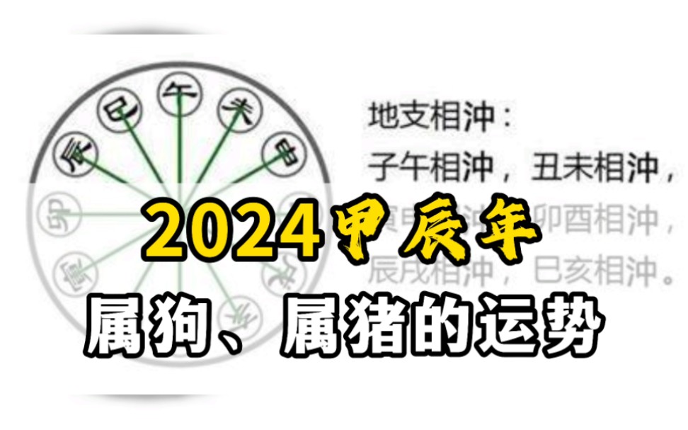 2024甲辰年属狗、属猪的运势!——连山易传人博尔朵哔哩哔哩bilibili