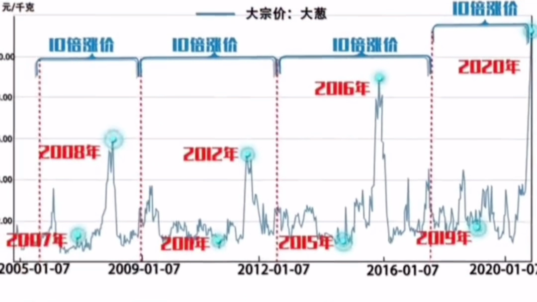 大葱的历史价格涨跌哔哩哔哩bilibili