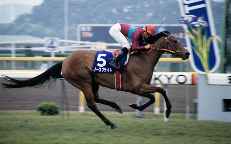 【自译中字】20世纪的名马 第35位 北方飞翔