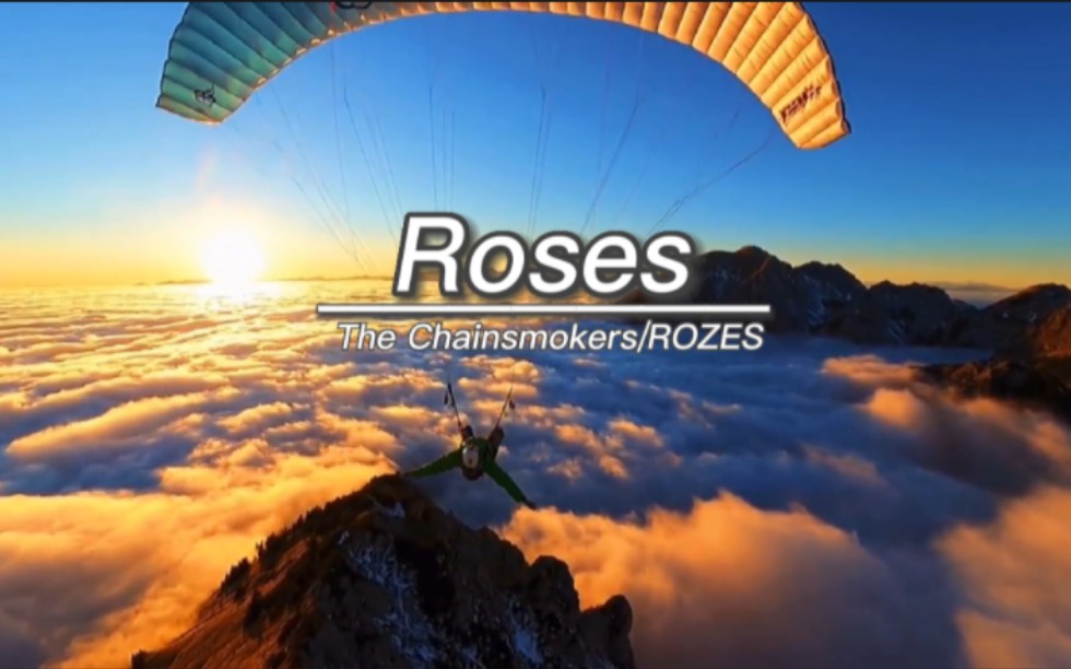 [图]只要越听就会越上头的歌曲《Roses》，超好听的电音歌曲！