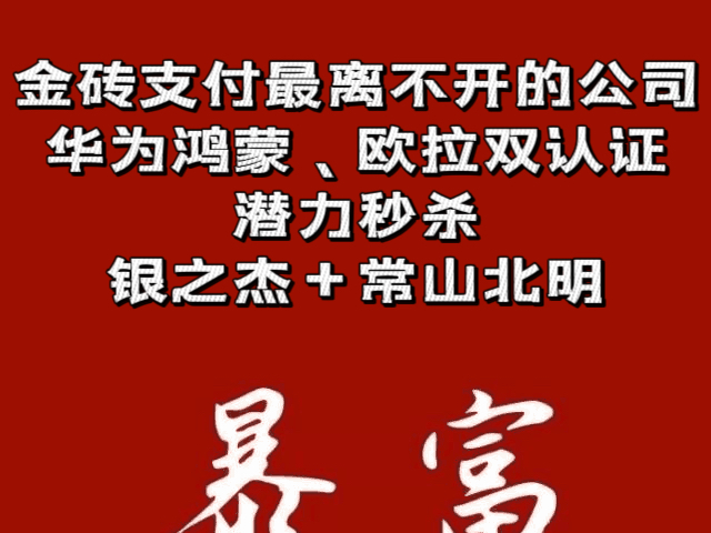 金砖支付最离不开的公司,华为鸿蒙、欧拉双认证,潜力秒杀银之杰+常山北明哔哩哔哩bilibili