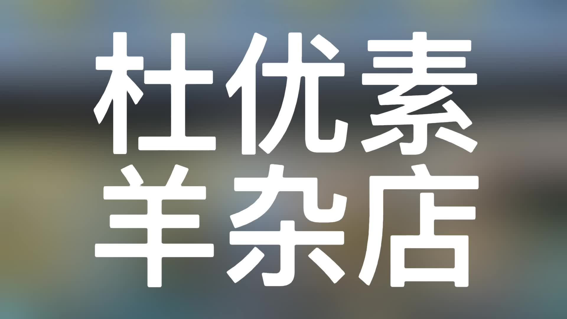 宁夏吴中 杜优素羊杂店哔哩哔哩bilibili