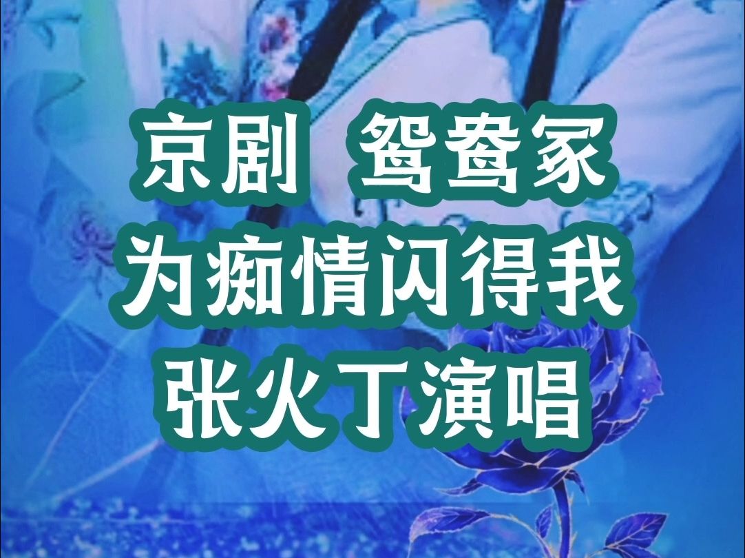 京剧鸳鸯冢 为痴情闪得我柔肠百转 张火丁 原唱哔哩哔哩bilibili