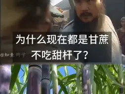 为什么现在都是甘蔗，不吃甜杆了？