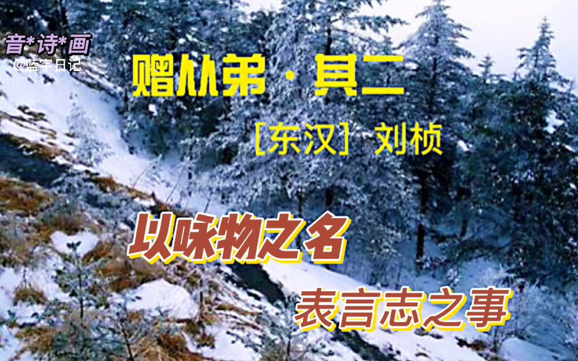 以咏物之名,表言志之事刘桢《赠从弟ⷮŠ其二》八年级语文上册必背古诗词哔哩哔哩bilibili