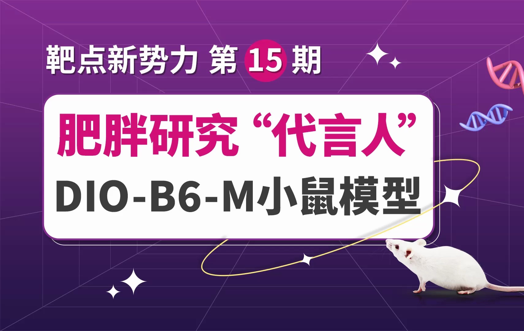 靶点新势力|肥胖研究“代言人”,DIOB6M小鼠模型哔哩哔哩bilibili