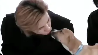 谁的人生被狗偷了？