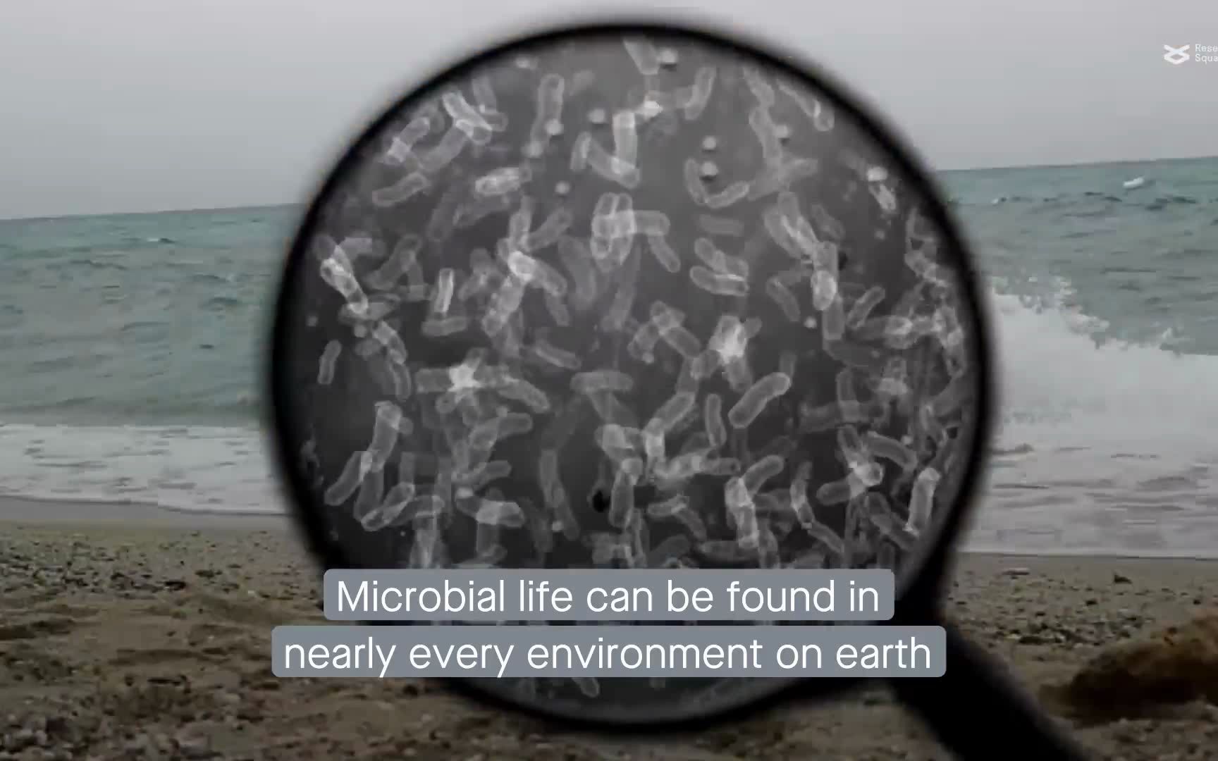 Microbiome | 中国农科院王加启+赵圣国:宏基因组指导未培养微生物分离培养的机遇与挑战哔哩哔哩bilibili