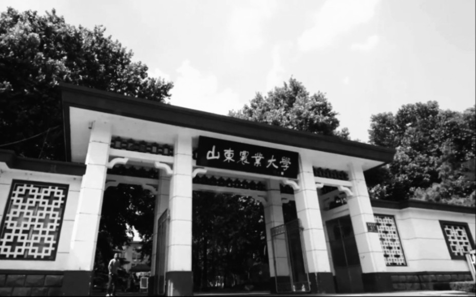 [图]【疑似山东农业大学内部资料泄露】