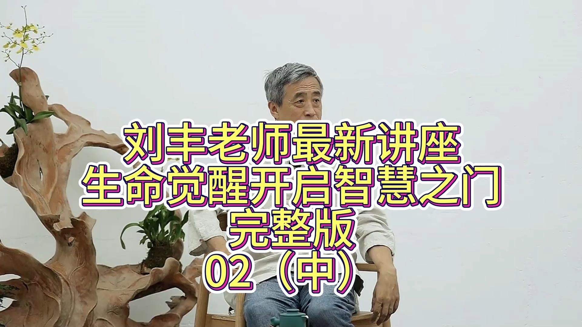 刘丰老师最新讲座:生命觉醒开启智慧之门完整版02(中)哔哩哔哩bilibili