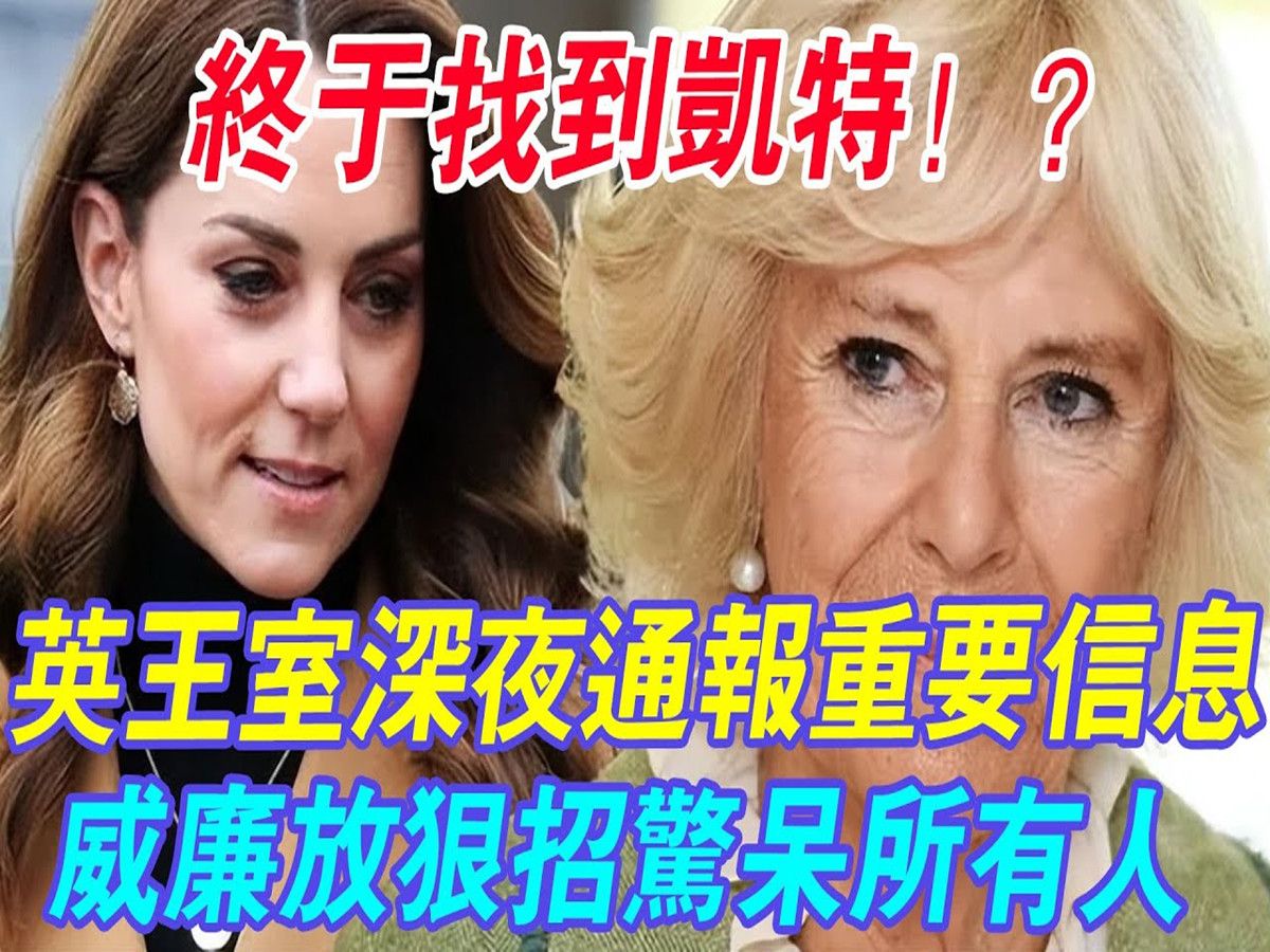 终于找到凯特? ! 英王室深夜通报重要讯息,威廉放狠招惊呆所有人! 连小三罗斯都被吓得不敢吭声!哔哩哔哩bilibili