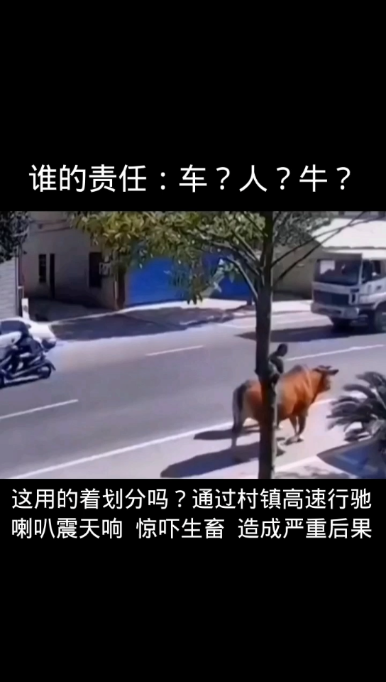 [图]开文明开车