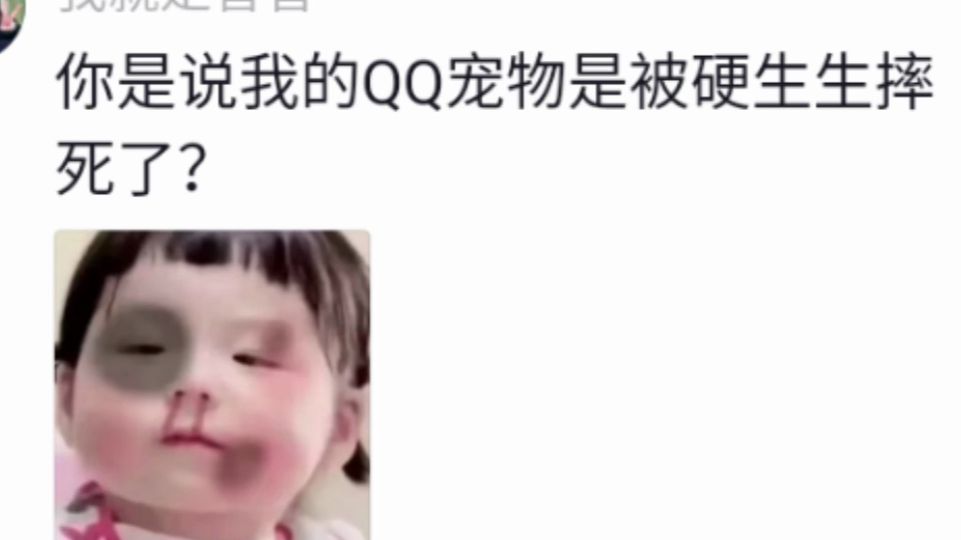 你是说当年QQ宠物停止运营的原因,是公司搬家的时候服务器被摔坏了吗