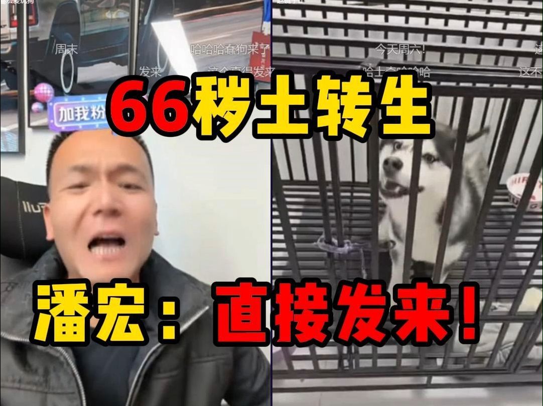 六六66秽土转生,潘宏:直接发来哔哩哔哩bilibili