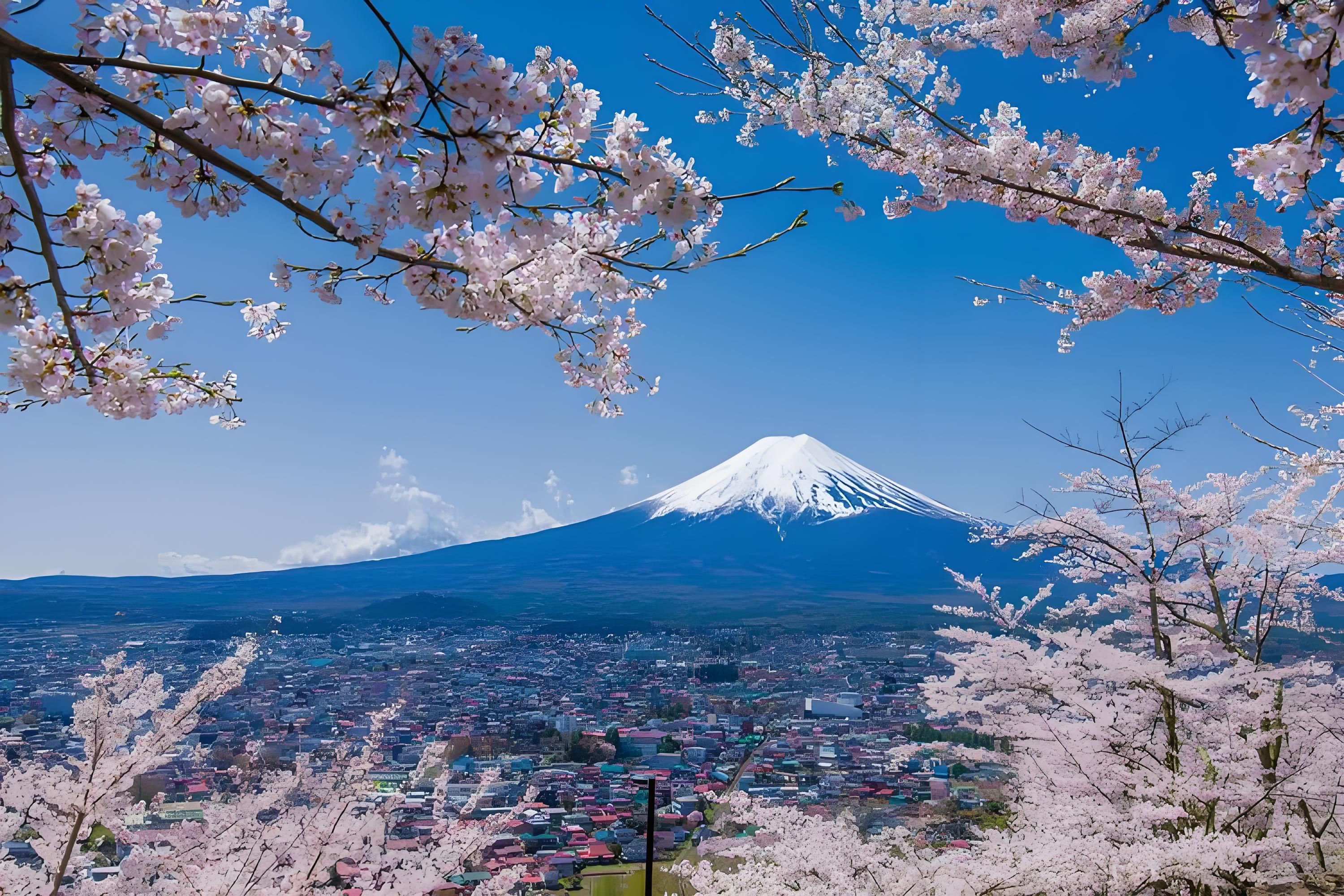 日本终局大揭秘:海盗文化下的"白眼狼"何去何从?