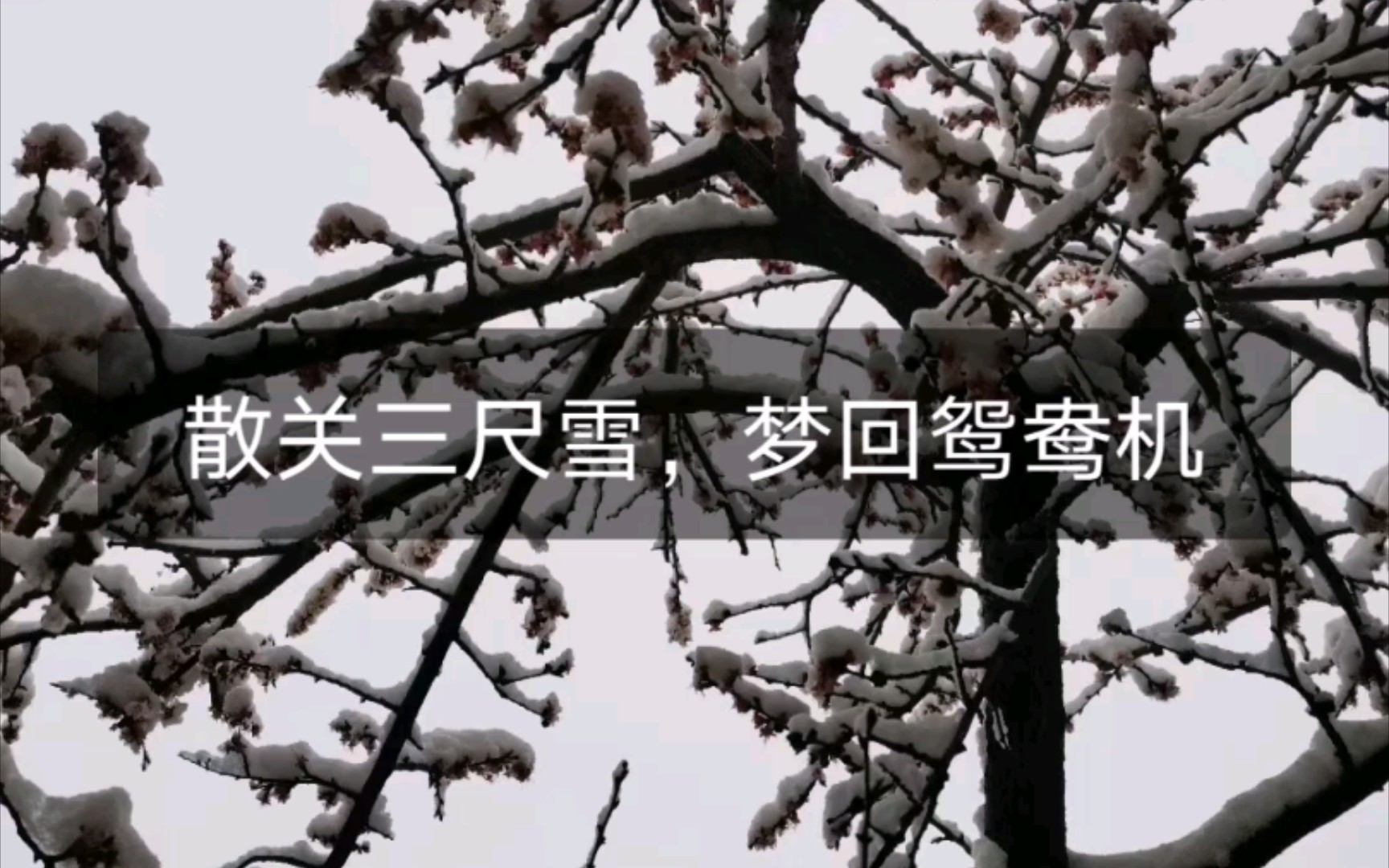 [图]散关三尺雪，梦回鸳鸯机