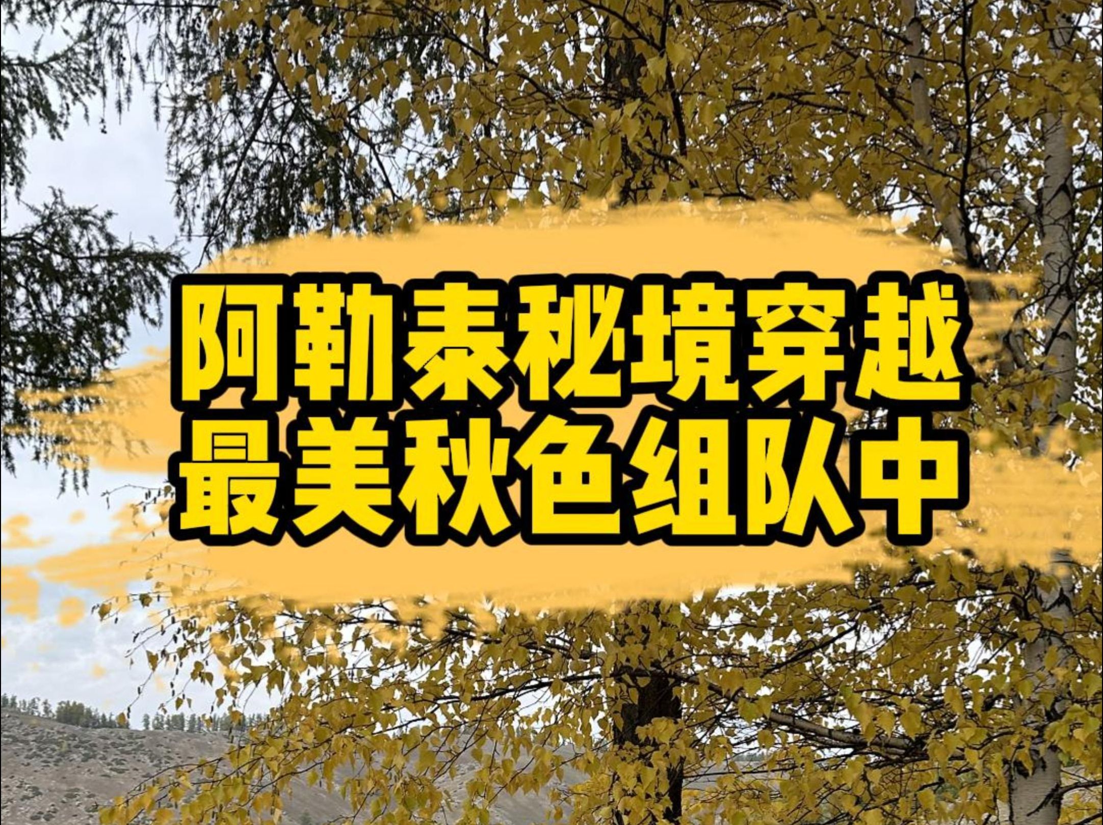 阿勒泰秘境穿越,邂逅秋之绮梦,更多神秘景色待你探寻哔哩哔哩bilibili