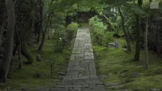 龙安寺 搜索结果 哔哩哔哩弹幕视频网 つロ乾杯 Bilibili