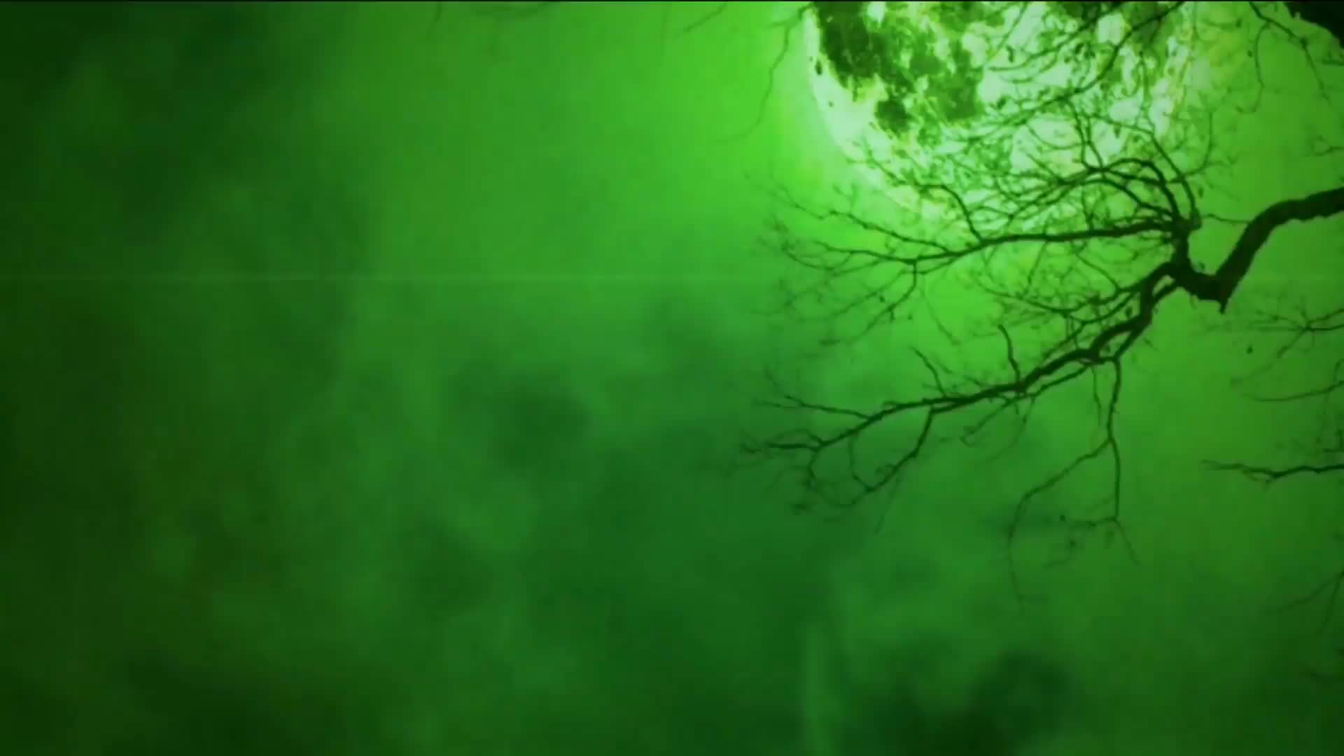 绿幕抠像恐怖满月夜晚视频素材