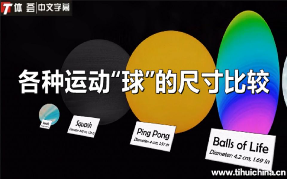 各种运动“球”的尺寸比较哔哩哔哩bilibili