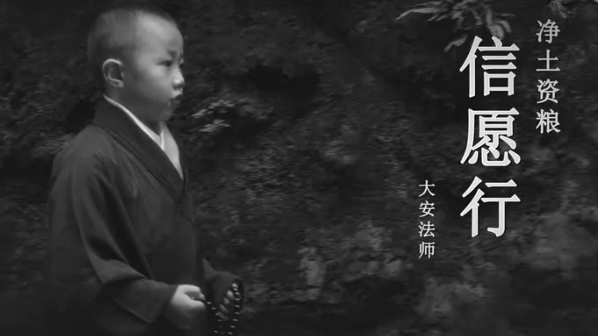 大安法师开示《净土法门信愿行》第五讲-十二光修学笔记-十二光修学笔记-哔哩哔哩视频