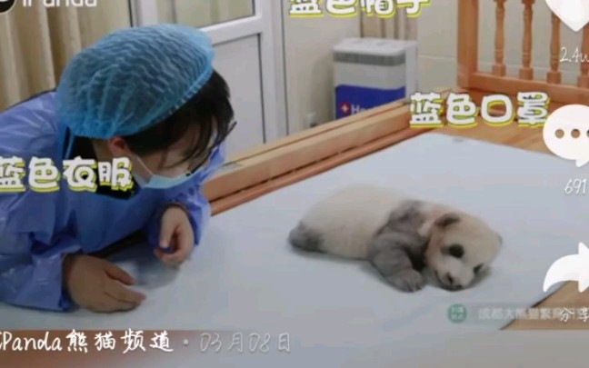 【熊猫宝宝】熊家自我介绍哔哩哔哩bilibili