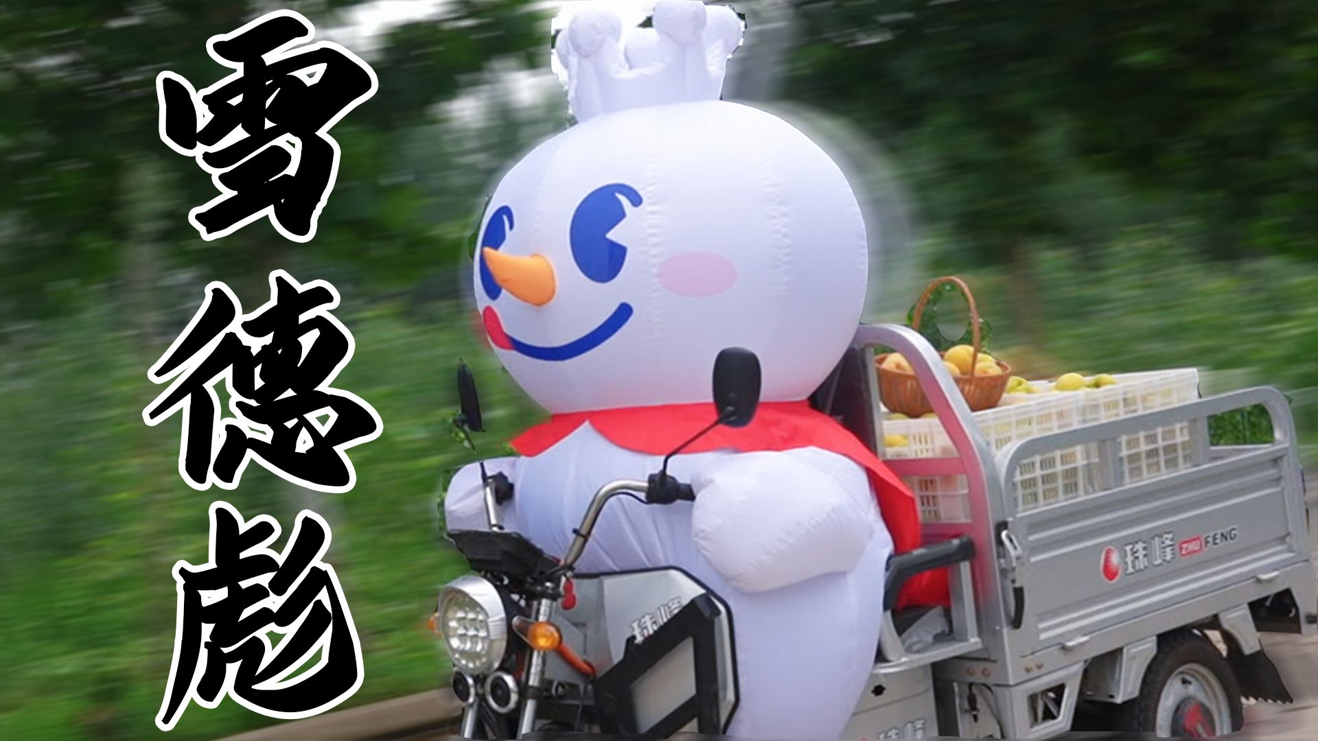天不生我雪德彪，满树黄桃无人挑！
